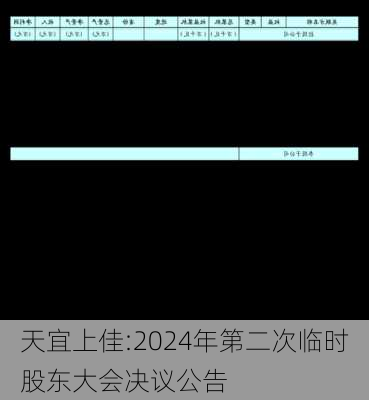 天宜上佳:2024年第二次临时股东大会决议公告