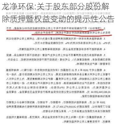 龙净环保:关于股东部分股份解除质押暨权益变动的提示性公告