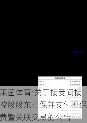 莱茵体育:关于接受间接控股股东担保并支付担保费暨关联交易的公告