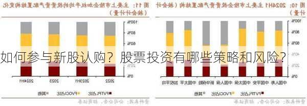 如何参与新股认购？股票投资有哪些策略和风险？