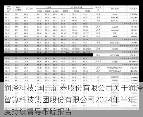 润泽科技:国元证券股份有限公司关于润泽智算科技集团股份有限公司2024年半年度持续督导跟踪报告