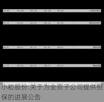 小崧股份:关于为全资子公司提供担保的进展公告