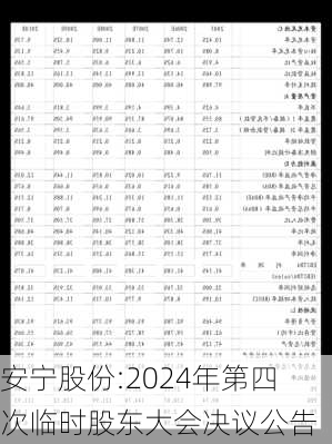 安宁股份:2024年第四次临时股东大会决议公告