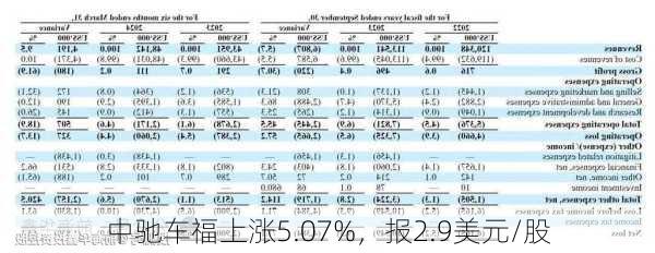 中驰车福上涨5.07%，报2.9美元/股