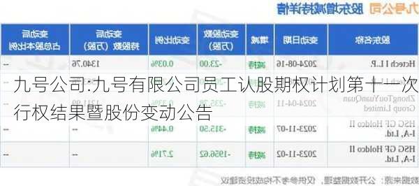 九号公司:九号有限公司员工认股期权计划第十一次行权结果暨股份变动公告