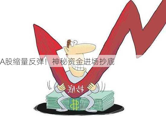 A股缩量反弹！神秘资金进场抄底