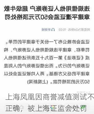 上海凤凰因商誉减值测试不正确，被上海证监会处罚