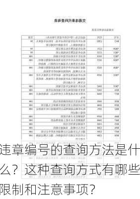 违章编号的查询方法是什么？这种查询方式有哪些限制和注意事项？