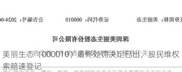 美丽生态（000010）最终处罚决定已出，股民维权索赔速登记