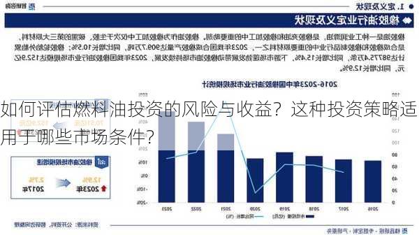 如何评估燃料油投资的风险与收益？这种投资策略适用于哪些市场条件？