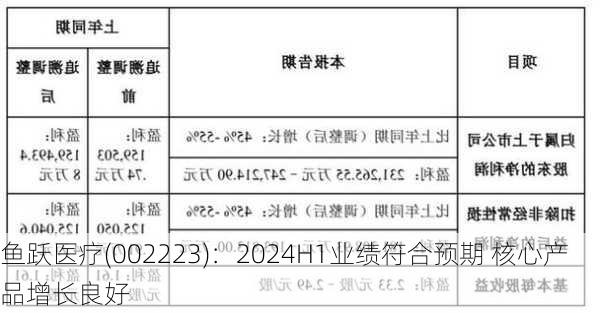 鱼跃医疗(002223)：2024H1业绩符合预期 核心产品增长良好