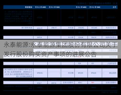 永泰能源:永泰能源集团股份有限公司关于发行股份购买资产事项的进展公告