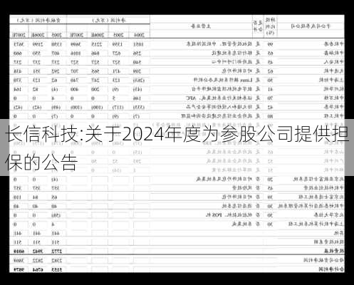 长信科技:关于2024年度为参股公司提供担保的公告