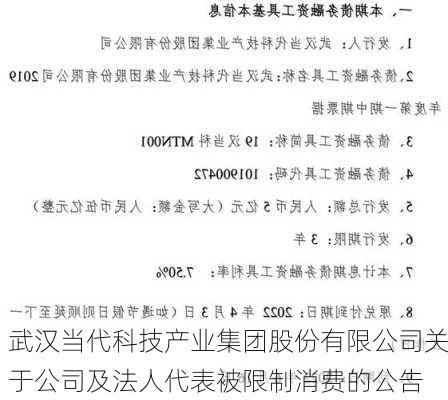 武汉当代科技产业集团股份有限公司关于公司及法人代表被限制消费的公告