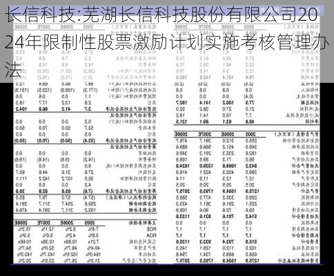 长信科技:芜湖长信科技股份有限公司2024年限制性股票激励计划实施考核管理办法