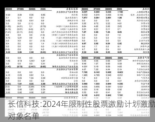 长信科技:2024年限制性股票激励计划激励对象名单