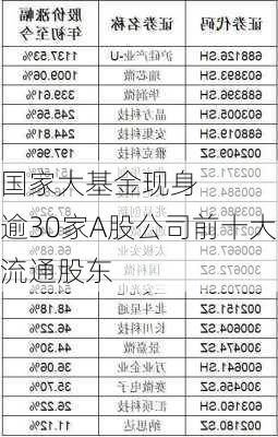 国家大基金现身    逾30家A股公司前十大流通股东