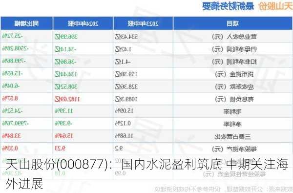 天山股份(000877)：国内水泥盈利筑底 中期关注海外进展