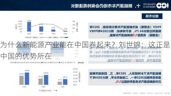 为什么新能源产业能在中国卷起来？刘世锦：这正是中国的优势所在