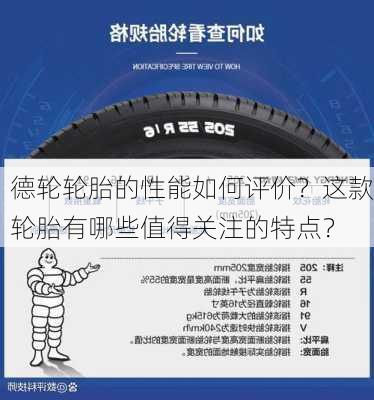 德轮轮胎的性能如何评价？这款轮胎有哪些值得关注的特点？