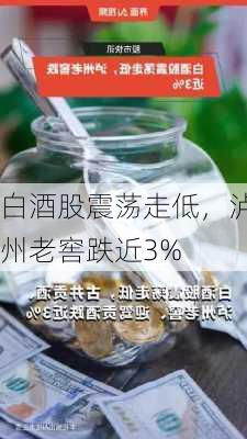 白酒股震荡走低，泸州老窖跌近3%