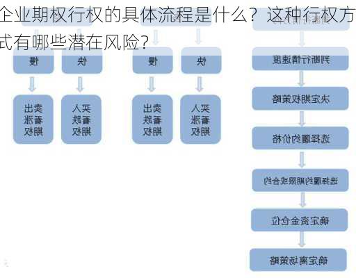 企业期权行权的具体流程是什么？这种行权方式有哪些潜在风险？