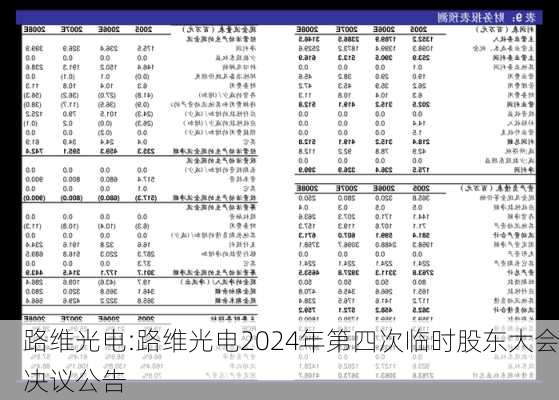 路维光电:路维光电2024年第四次临时股东大会决议公告