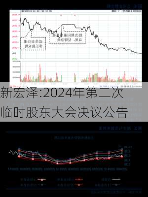 新宏泽:2024年第二次临时股东大会决议公告