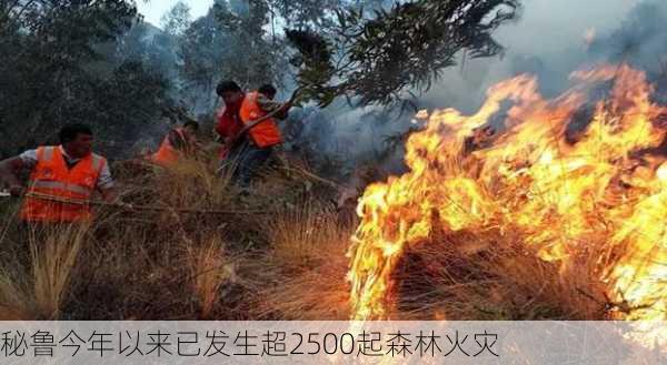 秘鲁今年以来已发生超2500起森林火灾