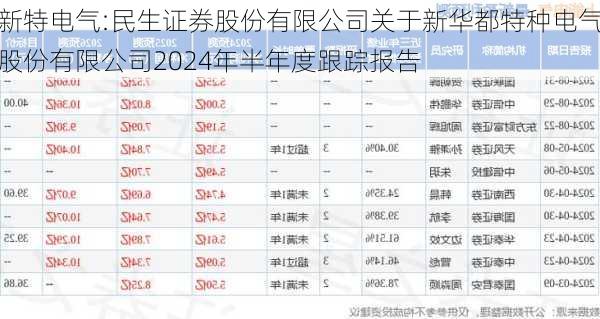 新特电气:民生证券股份有限公司关于新华都特种电气股份有限公司2024年半年度跟踪报告