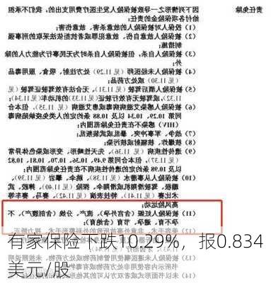 有家保险下跌10.29%，报0.834美元/股