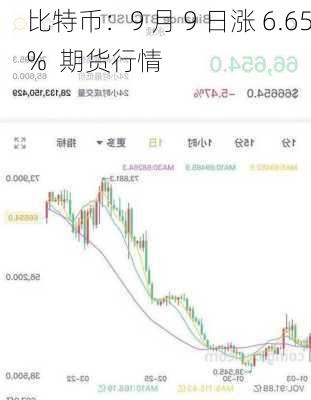 比特币：9 月 9 日涨 6.65%  期货行情