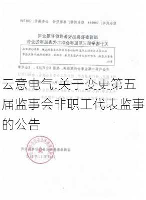 云意电气:关于变更第五届监事会非职工代表监事的公告