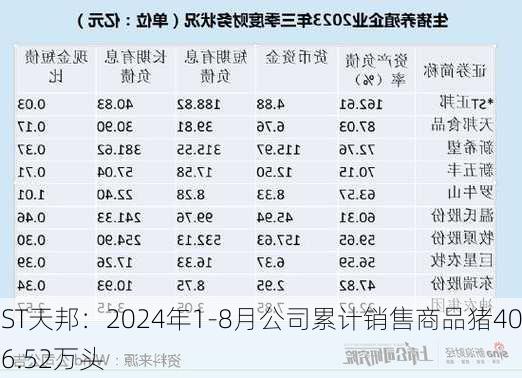 ST天邦：2024年1-8月公司累计销售商品猪406.52万头