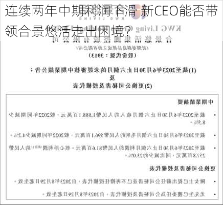 连续两年中期利润下滑 新CEO能否带领合景悠活走出困境？