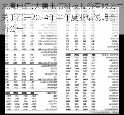 大唐电信:大唐电信科技股份有限公司关于召开2024年半年度业绩说明会的公告