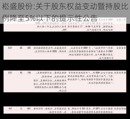 崧盛股份:关于股东权益变动暨持股比例降至5%以下的提示性公告