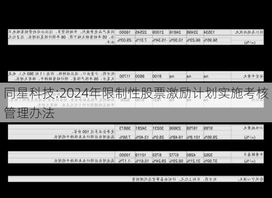 同星科技:2024年限制性股票激励计划实施考核管理办法