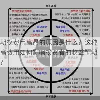 期权费用高昂的原因是什么？这种高费用如何影响投资者的收益预期？