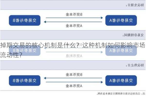 掉期交易的核心机制是什么？这种机制如何影响市场流动性？