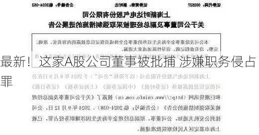 最新！这家A股公司董事被批捕 涉嫌职务侵占罪