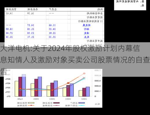 大洋电机:关于2024年股权激励计划内幕信息知情人及激励对象买卖公司股票情况的自查报告