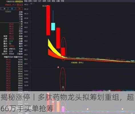 揭秘涨停丨多肽药物龙头拟筹划重组，超66万手买单抢筹