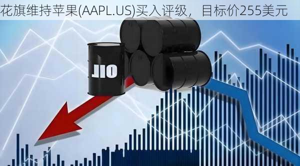 花旗维持苹果(AAPL.US)买入评级，目标价255美元