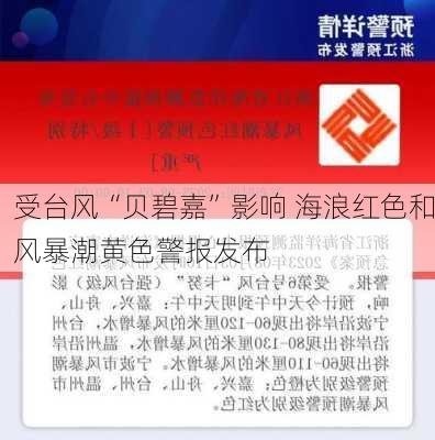 受台风“贝碧嘉”影响 海浪红色和风暴潮黄色警报发布