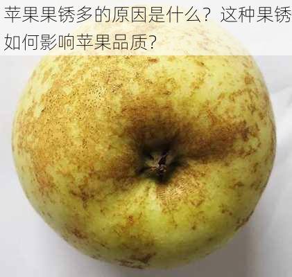 苹果果锈多的原因是什么？这种果锈如何影响苹果品质？