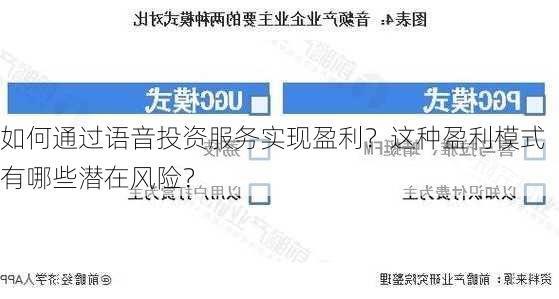 如何通过语音投资服务实现盈利？这种盈利模式有哪些潜在风险？