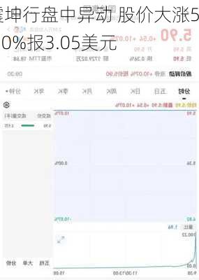 震坤行盘中异动 股价大涨5.90%报3.05美元