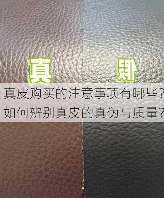 真皮购买的注意事项有哪些？如何辨别真皮的真伪与质量？