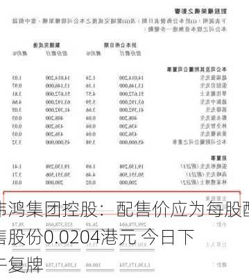 伟鸿集团控股：配售价应为每股配售股份0.0204港元 今日下午复牌